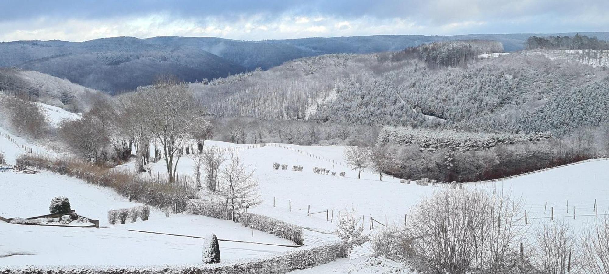 Fewo-Eifel-Morsbach Schleiden Buitenkant foto