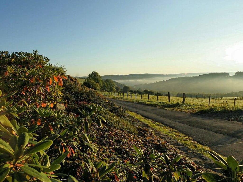 Fewo-Eifel-Morsbach Schleiden Buitenkant foto